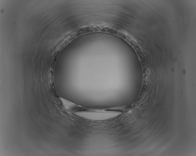 X0000072941110200608181334