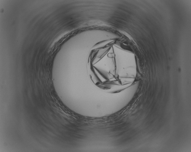 X0000072941112200608181334