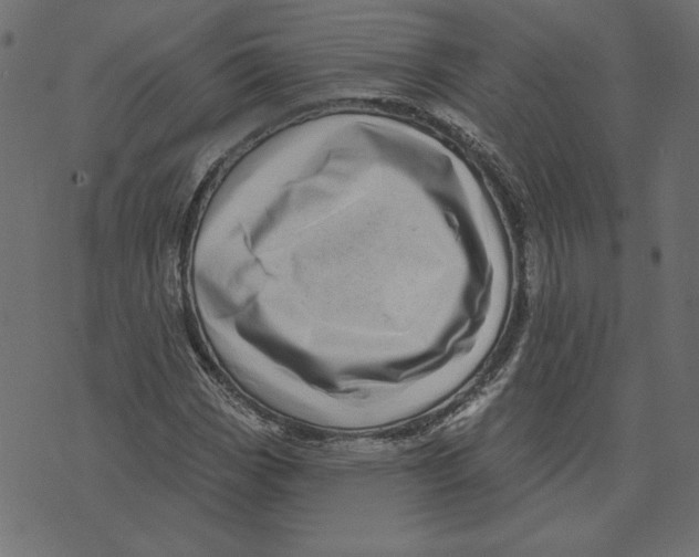 X0000072941113200608181334