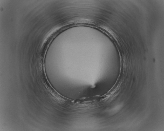 X0000072941115200608181334