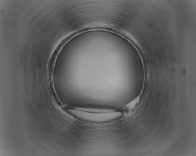 X0000072941116200608181334