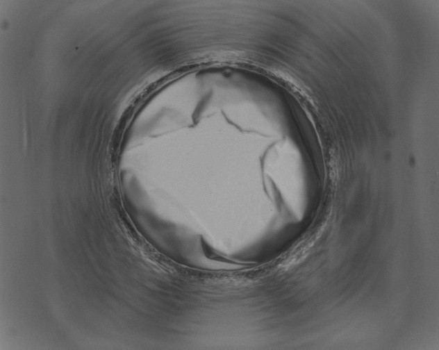 X0000072941117200608181334