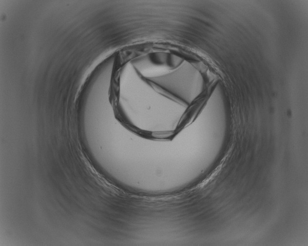 X0000072941118200608181334