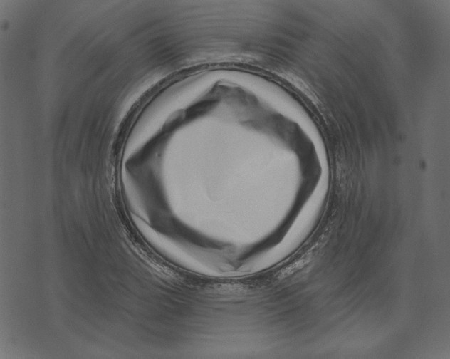 X0000072941119200608181334