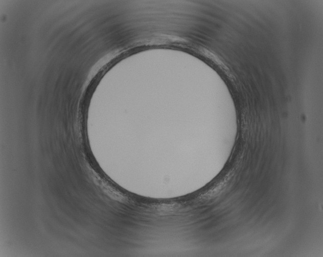 X0000072941122200608181334