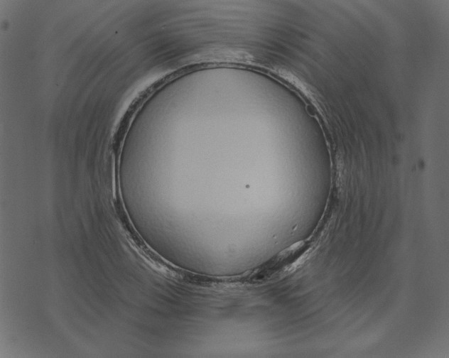 X0000072941123200608181334