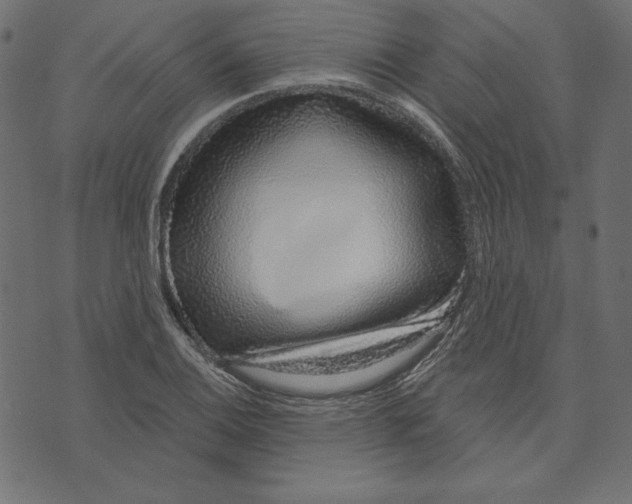 X0000072941124200608181334