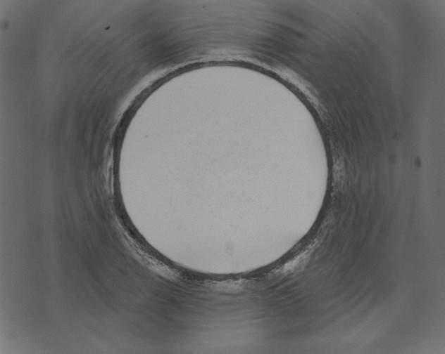 X0000072941126200608181334