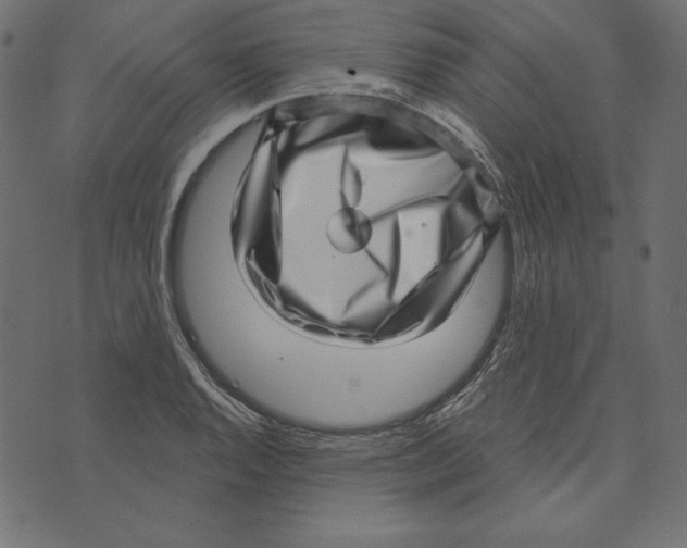 X0000072941128200608181334