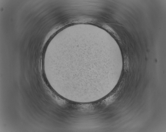 X0000072941130200608181334