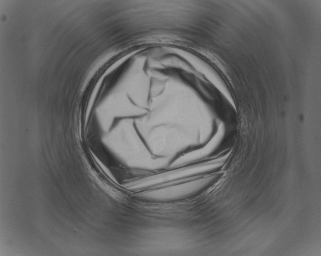 X0000072941131200608181334