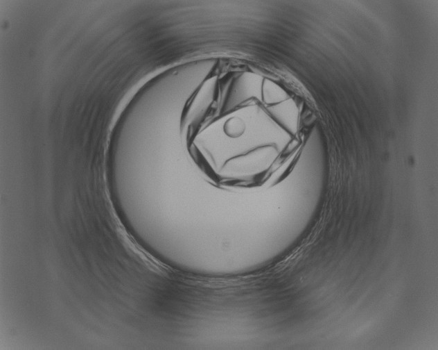 X0000072941132200608181334