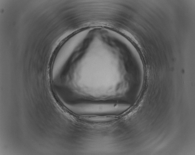 X0000072941133200608181334