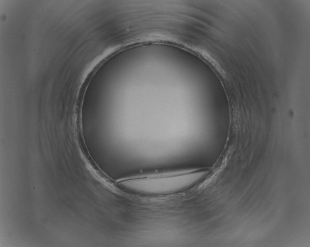 X0000072941134200608181334