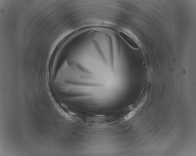 X0000072941136200608181334