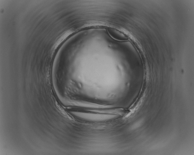 X0000072941137200608181334