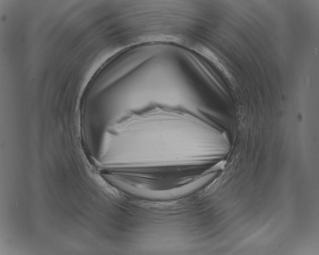 X0000072941140200608181334