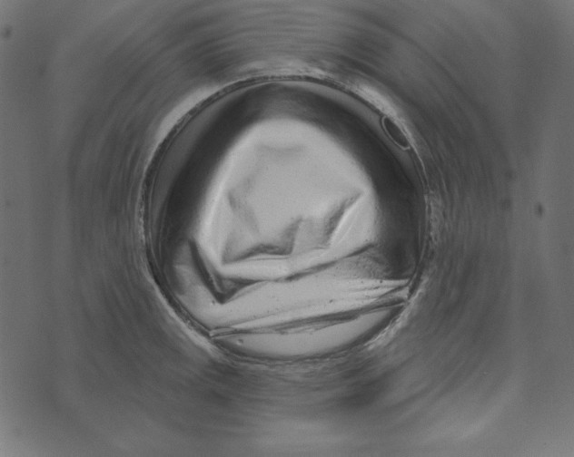 X0000072941141200608181334