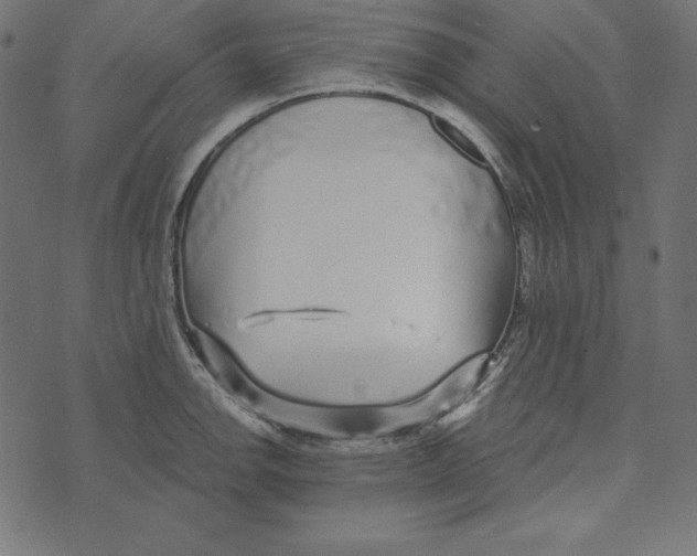 X0000072941142200608181334