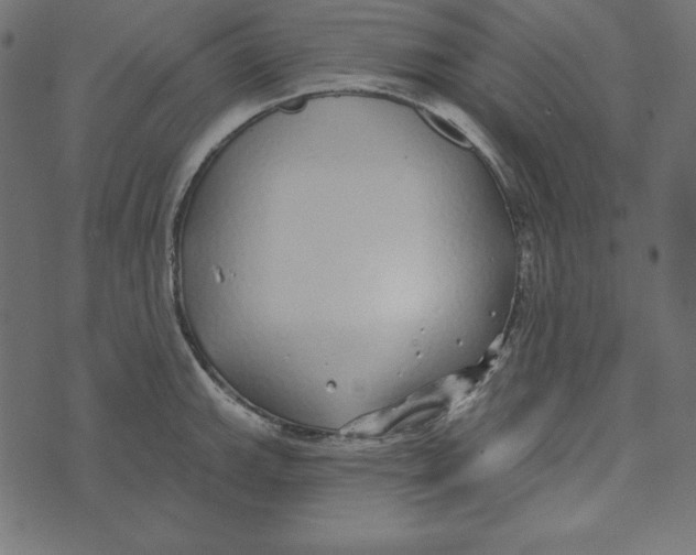 X0000072941143200608181334