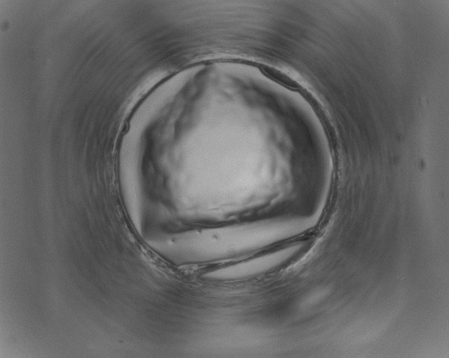 X0000072941145200608181334