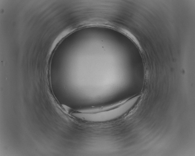 X0000072941146200608181334