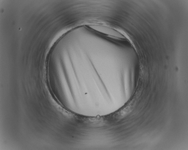 X0000072941147200608181334