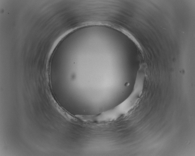 X0000072941148200608181335