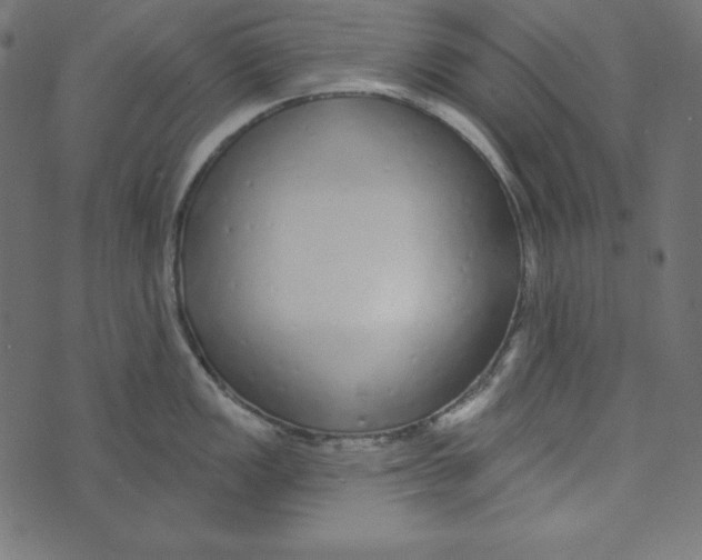 X0000072941149200608181335