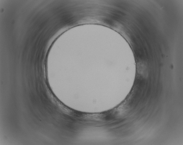 X0000072941150200608181335