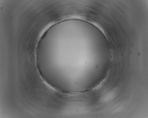 X0000072941151200608181335