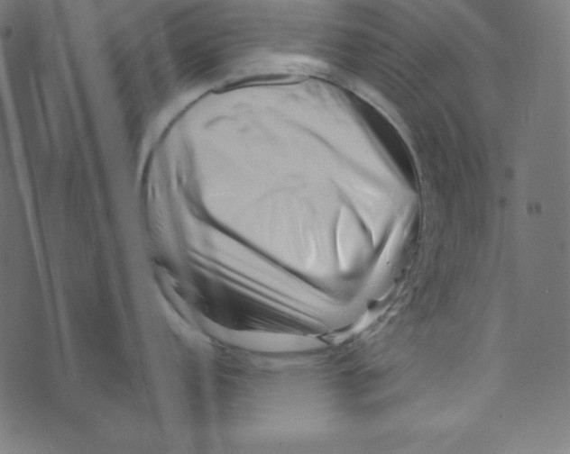 X0000072941152200608181335