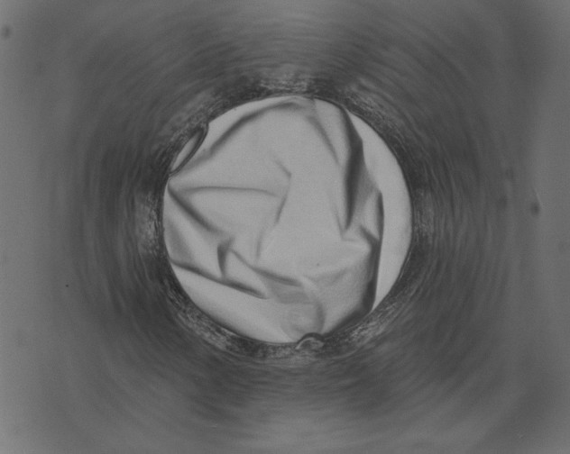 X0000072941154200608181334