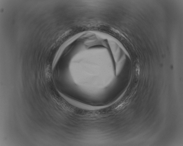 X0000072941156200608181334