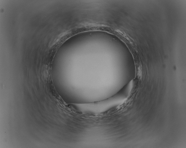 X0000072941157200608181334