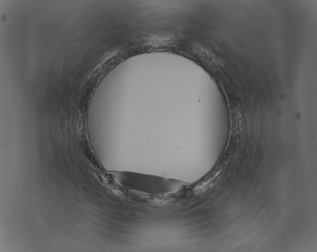 X0000072941158200608181334