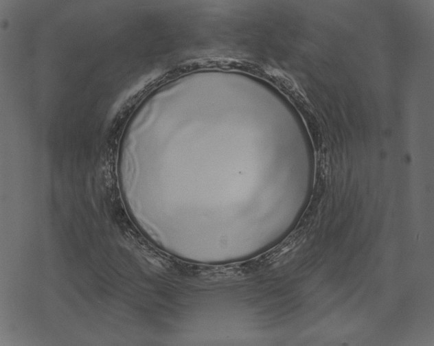 X0000072941159200608181334