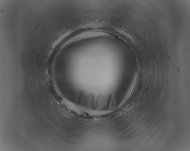 X0000072941160200608181334