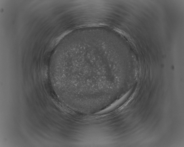 X0000072941161200608181334