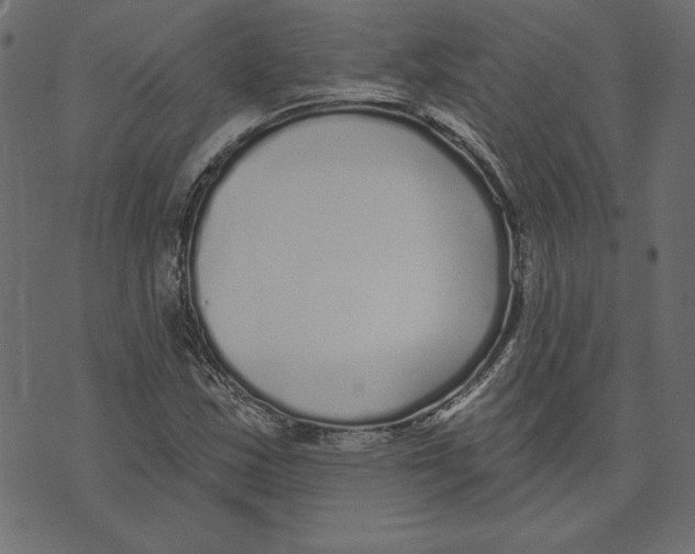 X0000072941163200608181334