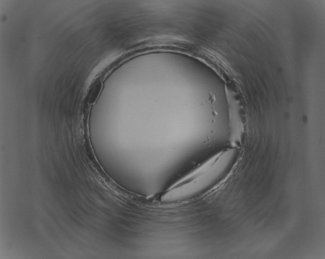 X0000072941164200608181334