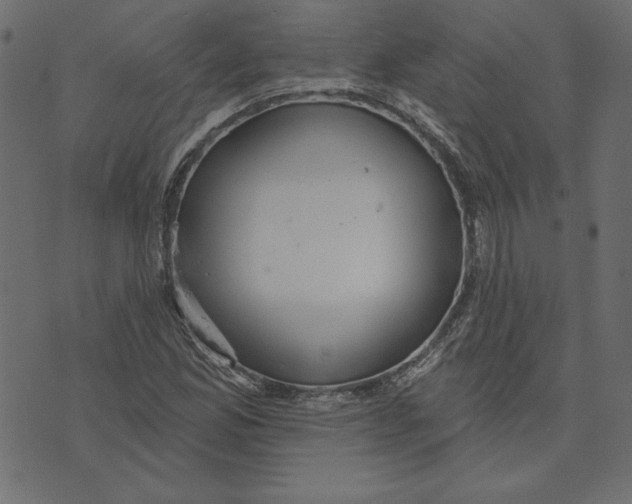 X0000072941165200608181334