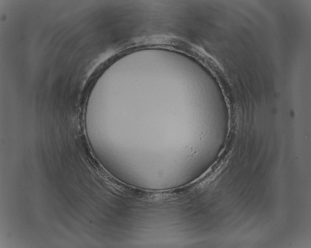 X0000072941166200608181334