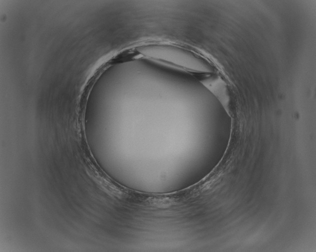 X0000072941168200608181334