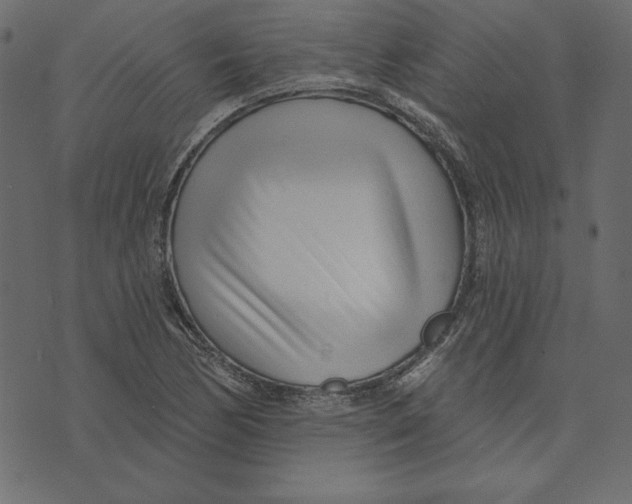 X0000072941170200608181334