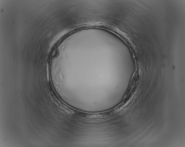 X0000072941171200608181334