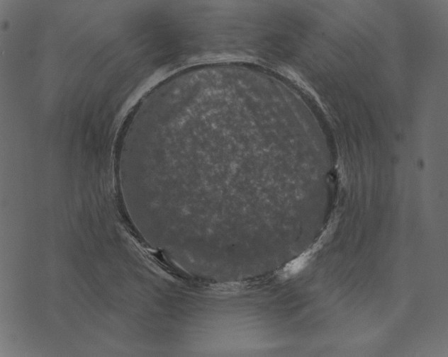 X0000072941173200608181333