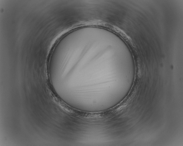 X0000072941174200608181333