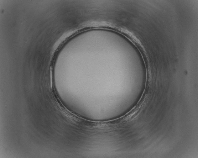 X0000072941175200608181333