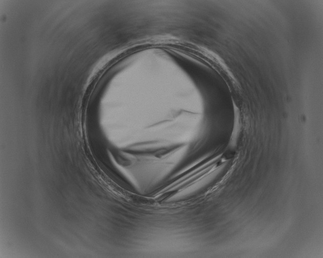 X0000072941176200608181333